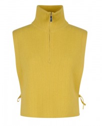MIMOSA (REF. 64703) - JAUNE...